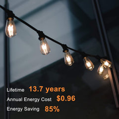 10 Pack Vintage 8W ST58 LED Edison Light Bulbs, Dimmable, 60W Equivalent, 800Lumens, 2700K Warm White, E26 Base LED