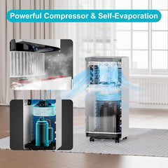 10,000 BTU Portable Air Conditioners, 4 in 1 Portable AC Unit, Cool, Heat, Dehumidifier & Fan