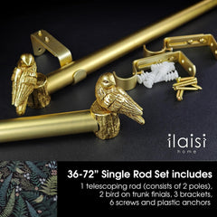 1-1/8 Inch Diameter Brushed Gold Curtain Rod with Bird Design Finials, 36-72'' Telescoping Single Curtain Rods for
